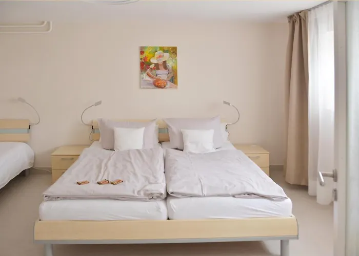 Ferienwohnung Gohrisch