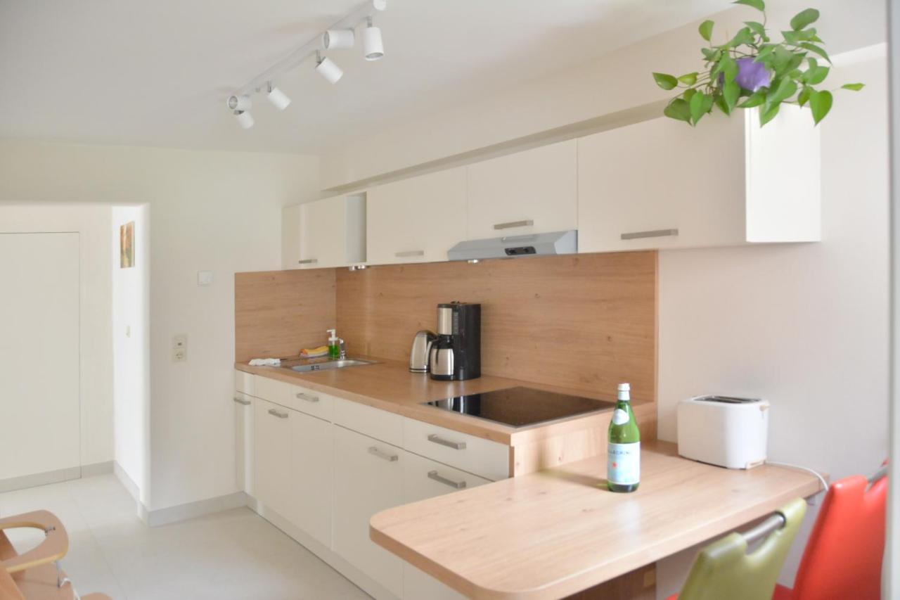 Ferienwohnung Gohrisch Apartment Kurort Gohrisch