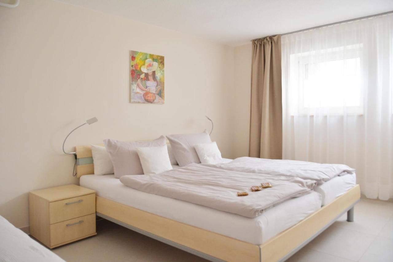 Apartment Ferienwohnung Gohrisch Kurort Gohrisch